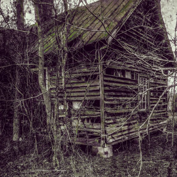 无意中发现了图片下载