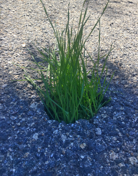 自然与道路图片下载