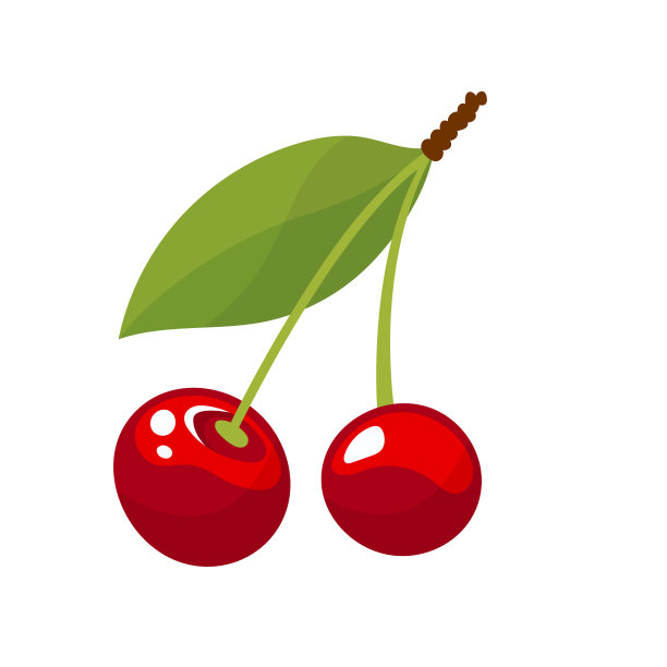 樱桃插图-一对樱桃，茎和叶孤立在白色背景上图片下载