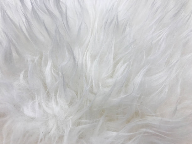 白色人造毛皮纹理图片下载