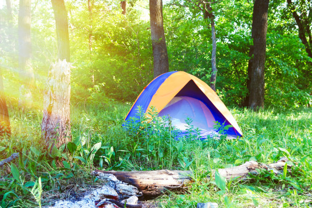 森林背景上的旅游帐篷图片下载