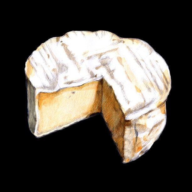 Camembert水彩插图黑色背景图片下载