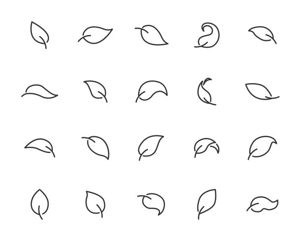 一组叶子图标，树枝，自然，植物，春天图片下载