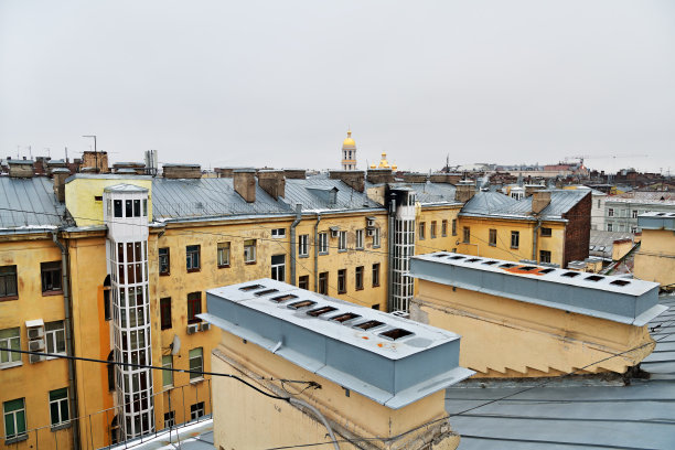 冬天的圣彼得堡旧建筑的屋顶。俄罗斯图片下载