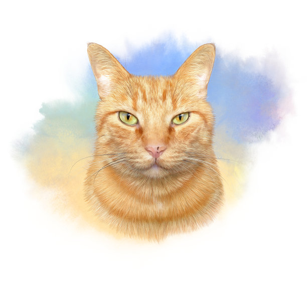 一只可爱的绿眼睛猫的肖像图片下载