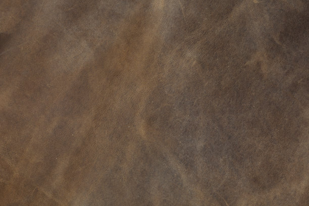 真皮纹理背景图片下载