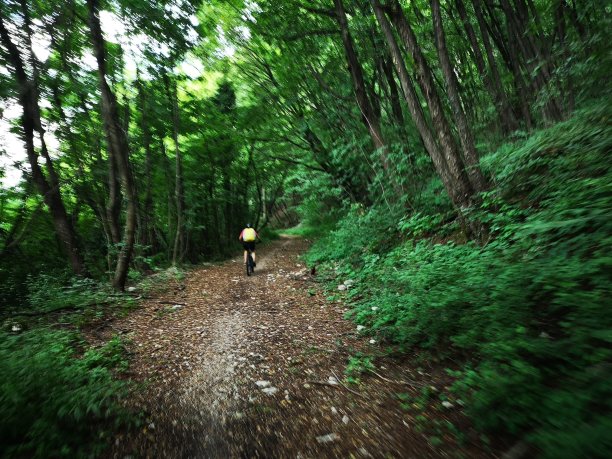 结核分枝杆菌骑图片下载
