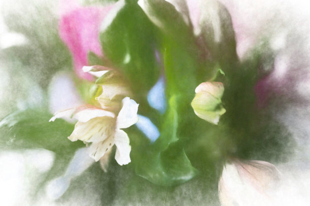 玫瑰和洋桔黄色花图片下载