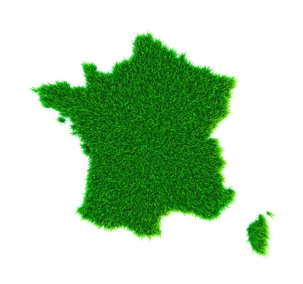 法国草图，白色上孤立图片下载