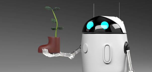 机器人与植物在鞋，孤立在灰色背景，3d渲染。图片下载