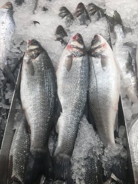 鱼市上的新鲜鱼类图片下载