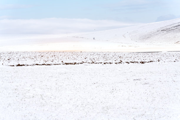 冬天的风景图片下载