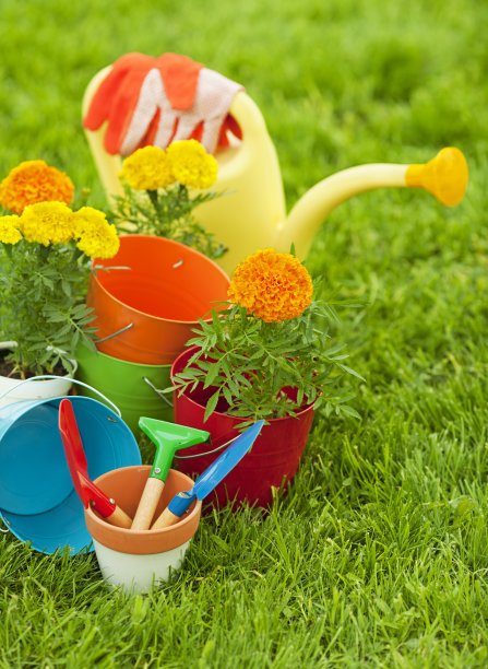 草坪上的园艺设备图片下载