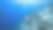 加勒比海碧绿的珊瑚礁海景/库拉索岛，有潜水员，珊瑚和海绵图片下载