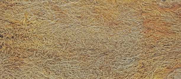 棕榈树皮纤维构成的抽象图案图片下载