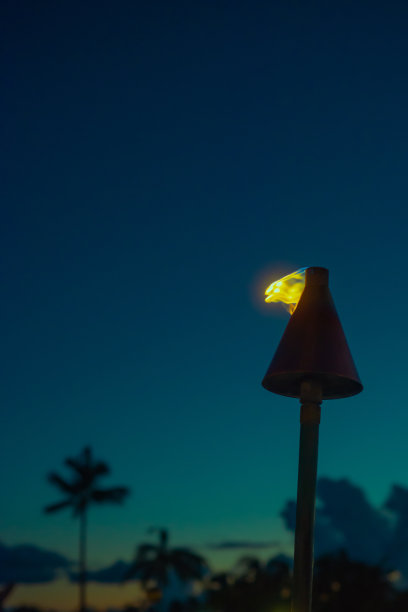 夏威夷，在棕榈树的背景下，夕阳下的Tiki火炬的火焰图片下载