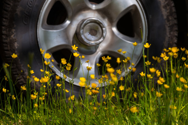 近景车轮在草丛中，户外旅行背景图片下载