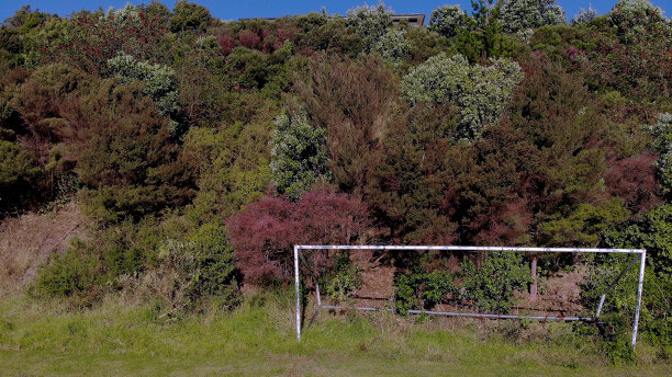 孤独的目标后图片下载