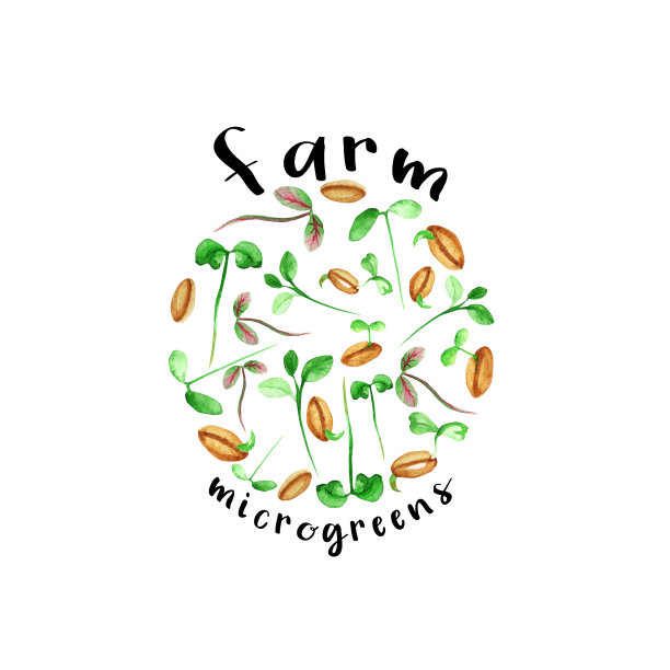 微绿色标识。素食和健康的饮食观念。手绘水彩标志，孤立在白色背景图片下载