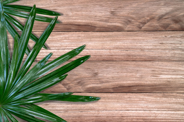 木桌上的绿叶特写图片下载