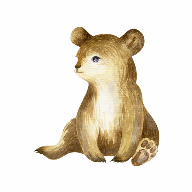 可爱的熊宝宝。手绘水彩插图孤立的白色背景。图片下载