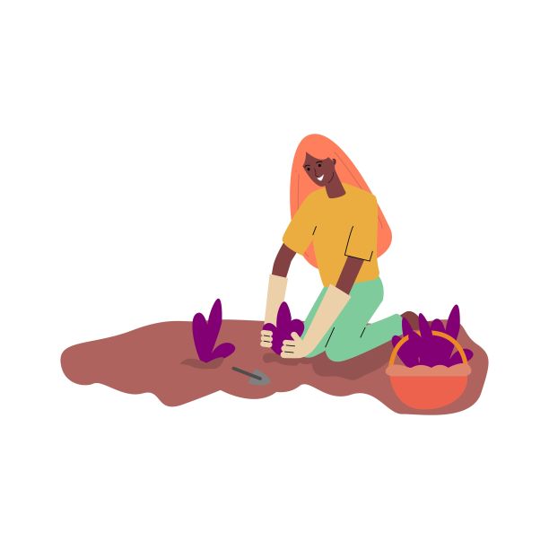 妇女或女孩种植或在花园里工作，平面矢量插图孤立。图片下载