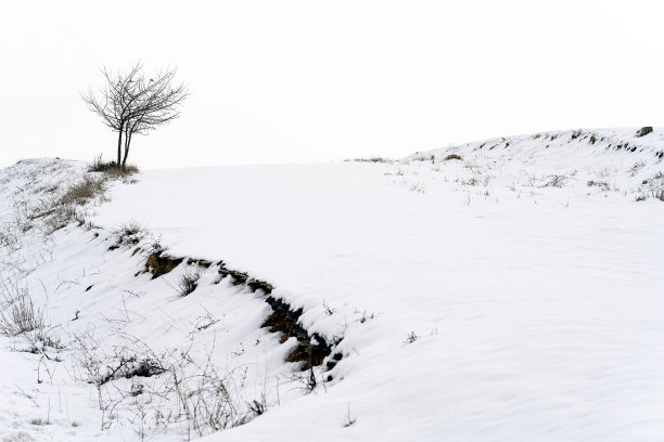 冬天的风景图片下载