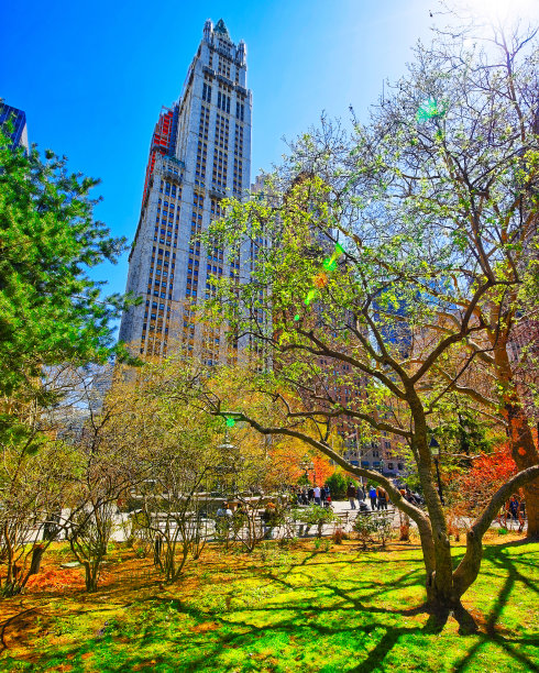 曼哈顿下城市政厅公园的树木反射图片下载