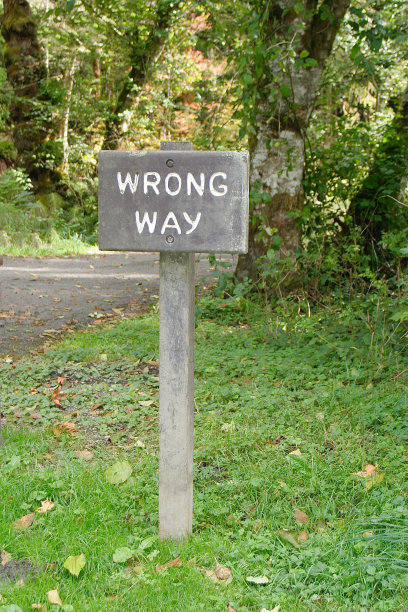 在公园里做个路标告诉你走错路了图片下载