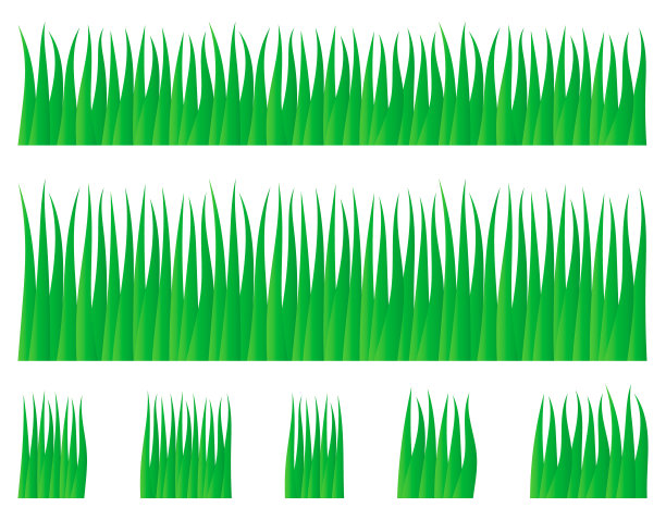 向量绿色草坪草纹理插图:自然，有机，生物，生态标签和形状的白色背景。地面土地模式。图片下载