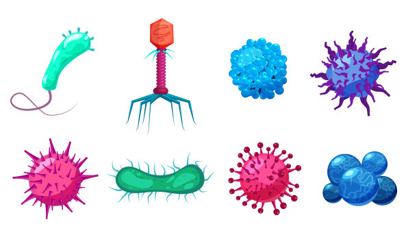 设病毒、细菌、细菌、微生物、致病对象、流行微生物、真菌感染。矢量孤立插图卡通风格图标图片下载