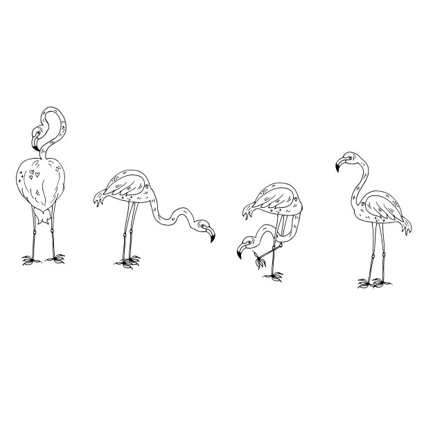 火烈鸟。画线。矢量插图。图片下载