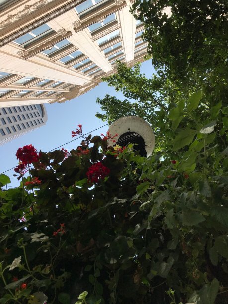 西雅图的天空图片下载