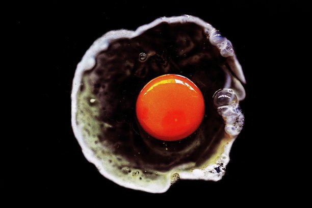 烹饪煎蛋。图片下载