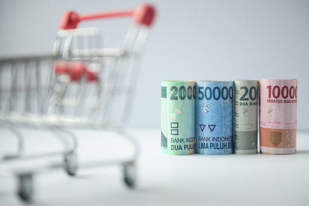 白色背景上滚动着卢比钞票的购物车图片下载