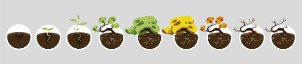 矢量剪辑艺术盆景树的生长阶段。自然季节插图。植物插图的手机应用程序和动画图片下载