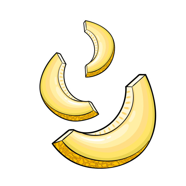 瓜。孤立的矢量插图上的白色背景。图片下载