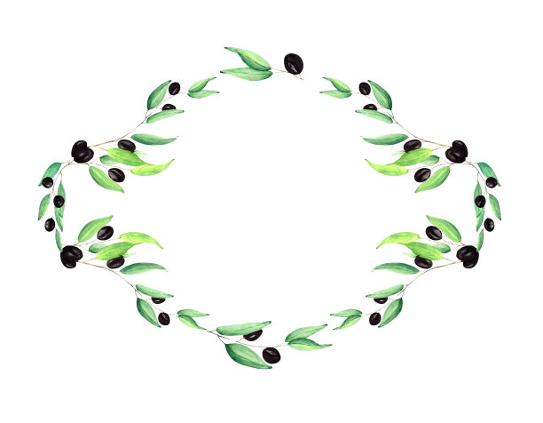 水彩框架与绿色的叶子和橄榄浆果的空间文字上的白色背景。植物插画装饰的节日海报，明信片，横幅和邀请。图片下载