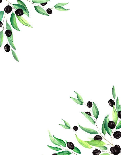 水彩框架与绿色的叶子和橄榄浆果的空间文字上的白色背景。植物插画装饰的节日海报，明信片，横幅和邀请。图片下载