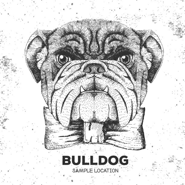 潮人动物斗牛犬。手画犬类动物的嘴套图片下载