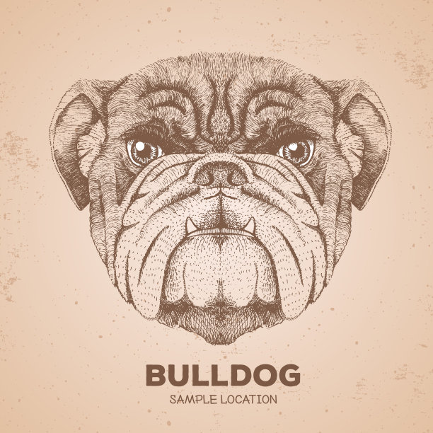 潮人动物斗牛犬。手画犬类动物的嘴套图片下载