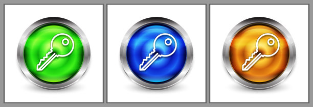 关键图标现代眼球圆形按钮设置插图图片下载