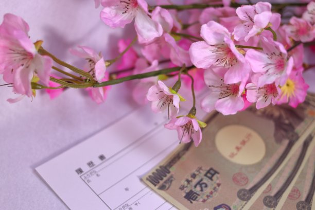 樱花、简历和金钱图片下载