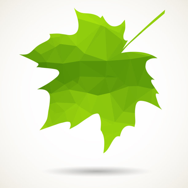 三角形的枫叶素材图片