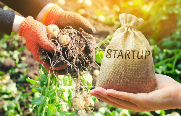 农业创业的概念。提高生产率，收获效率。创新的发展。投资农业。农业领域的智能现代技术。环境。预算图片下载