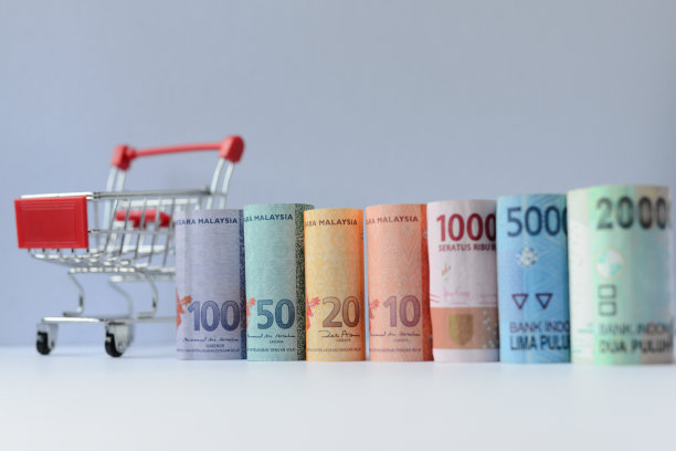 白色背景上滚动着林吉特和印尼盾钞票的购物车图片下载