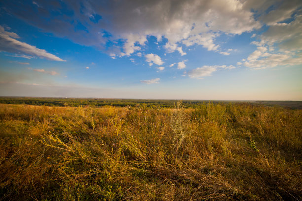 夏季景观有广阔的草地、蓝天和开阔的空间图片下载