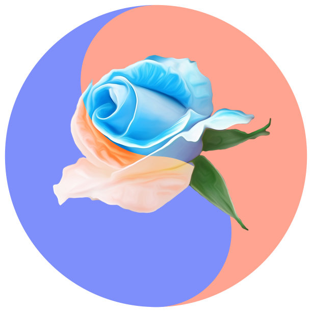 花象征阴阳。玫瑰花朵。几何图案的阴阳符号，从植物的彩色背景在东方风格。阴阳符号取自花、花瓣。曼荼罗的花卉插图。图片下载