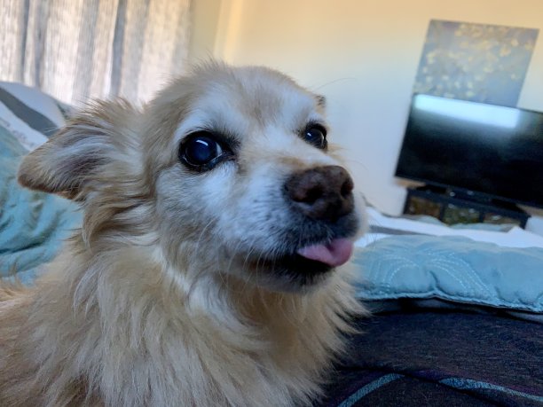 早上好爸爸图片下载