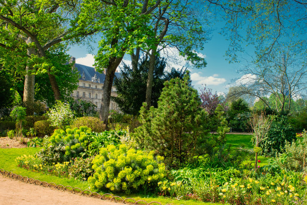 春天的巴黎公园图片下载